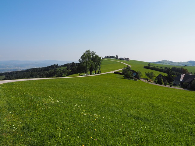 nature-2674212_640.jpg