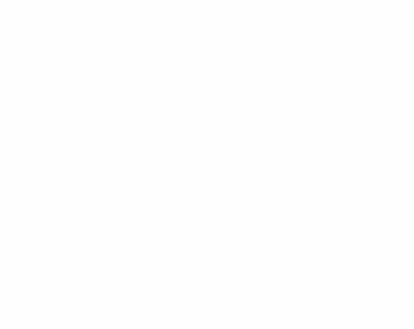 hts-logo-weiss-web-frei-600x.png